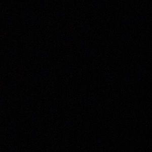 Meet your Posher, Will